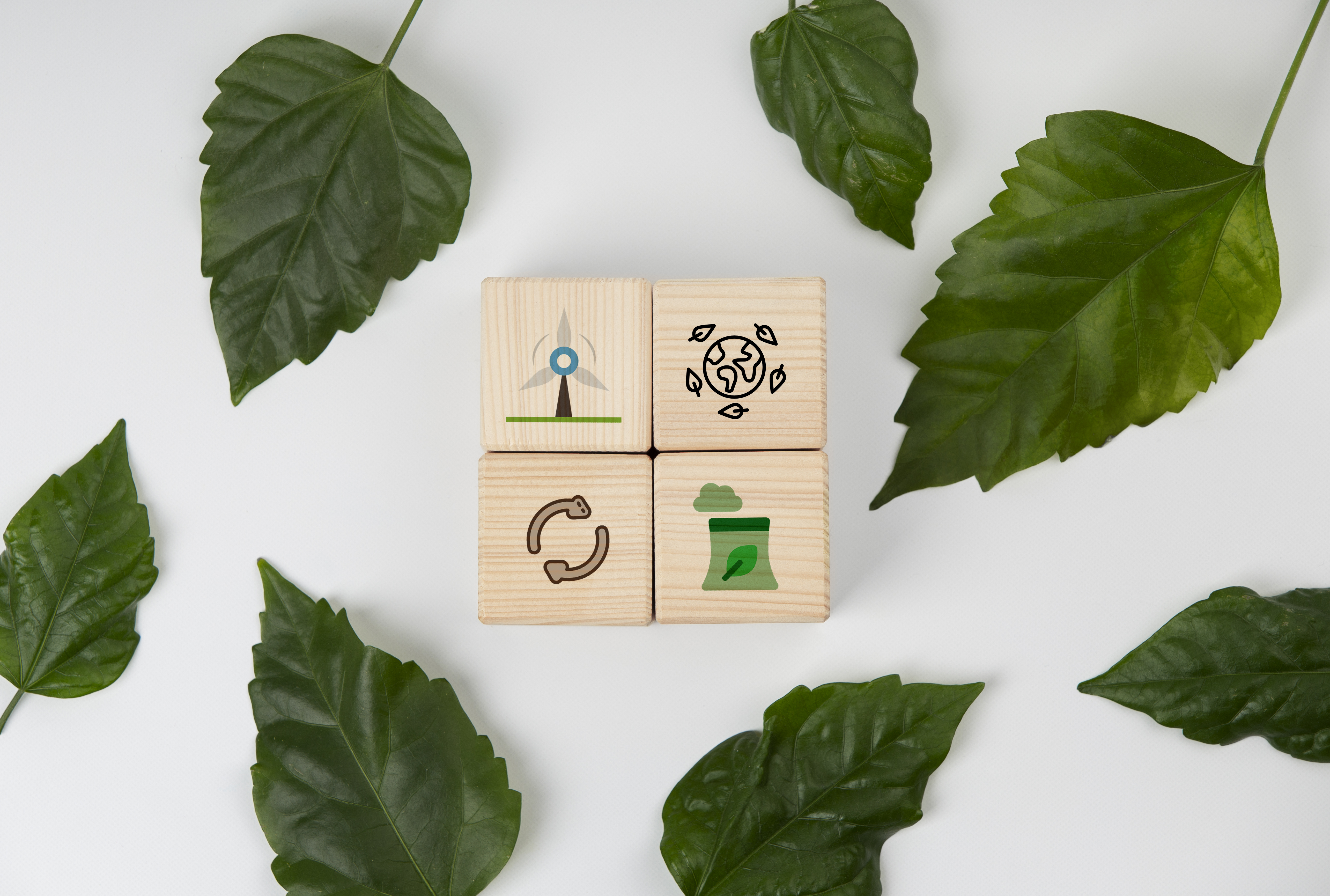 Modelagem Ambiental